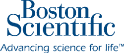 Logo Boston